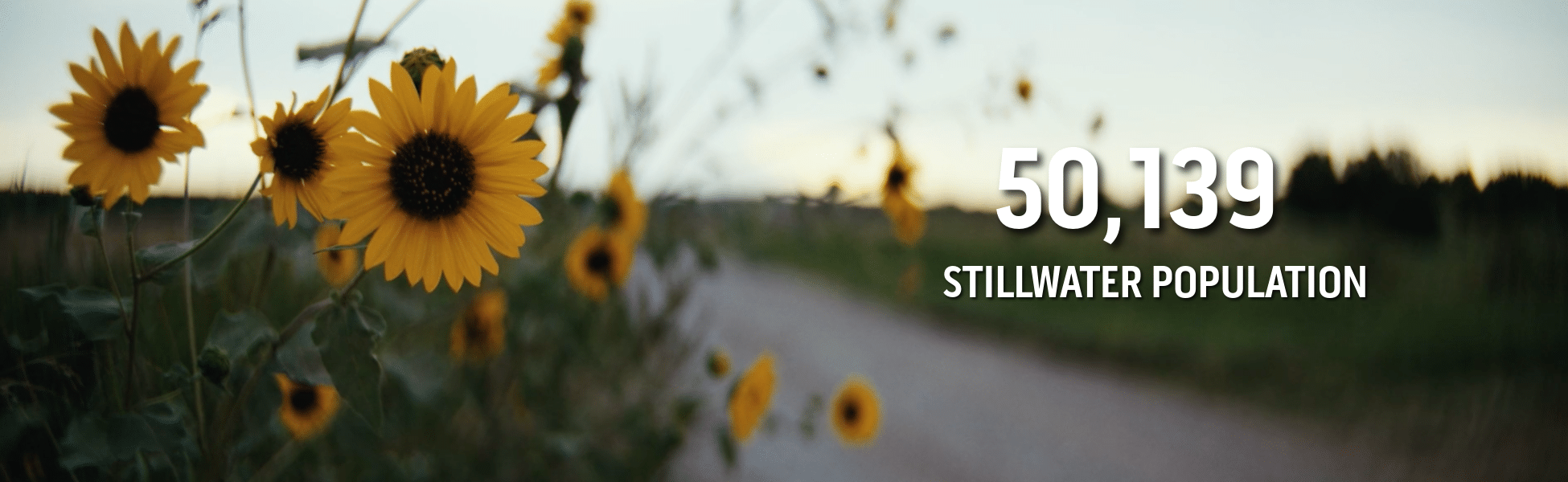 Banner showing Stillwater population 50,139 with a blurred field of sunflowers in the background